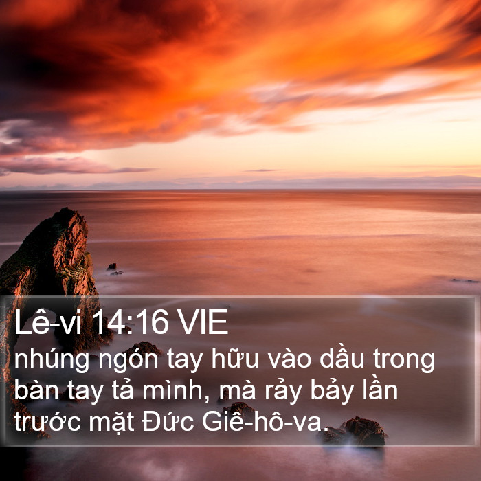 Lê-vi 14:16 VIE Bible Study