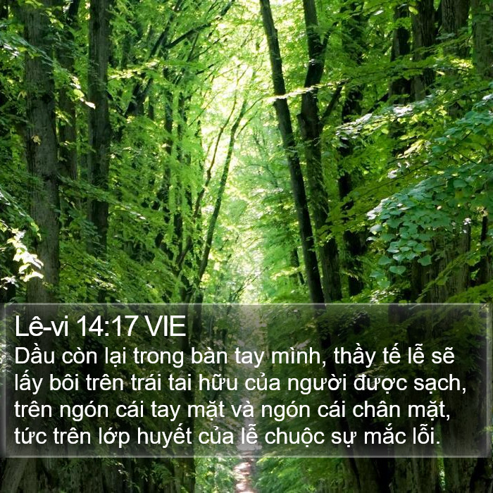 Lê-vi 14:17 VIE Bible Study