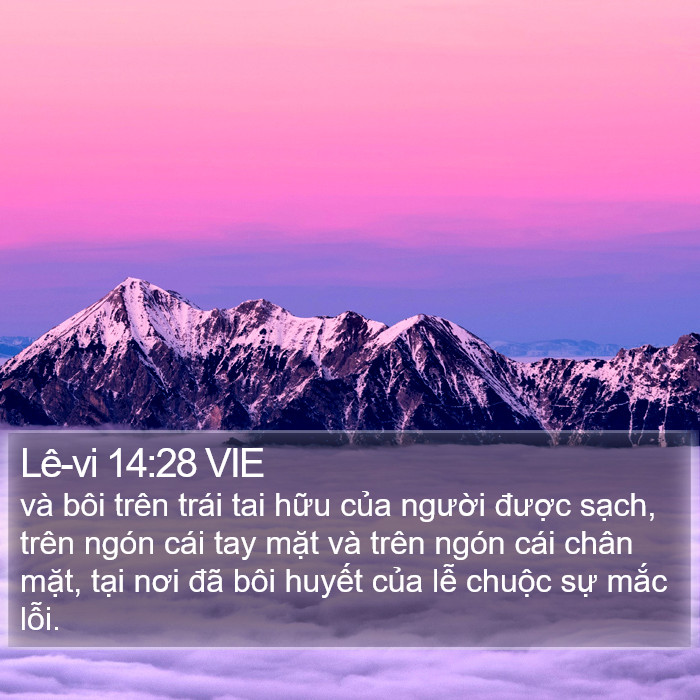 Lê-vi 14:28 VIE Bible Study