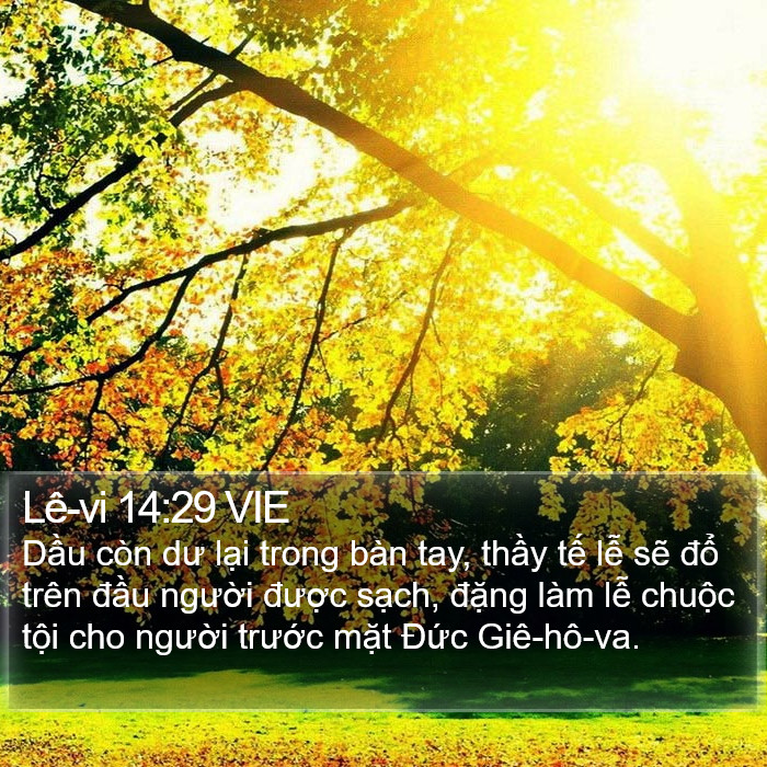 Lê-vi 14:29 VIE Bible Study