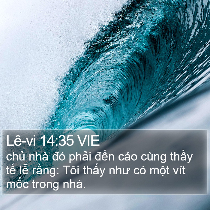 Lê-vi 14:35 VIE Bible Study