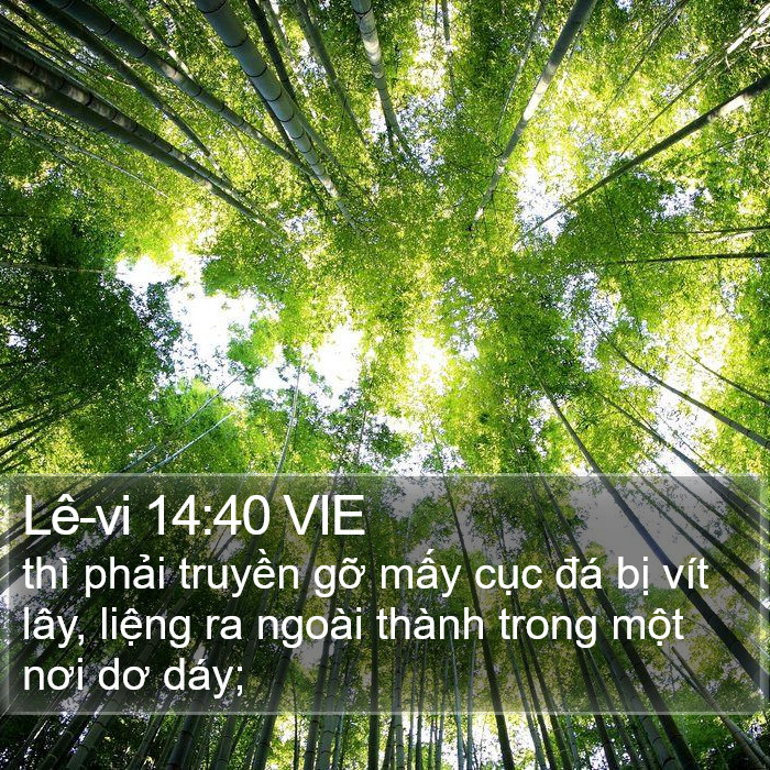 Lê-vi 14:40 VIE Bible Study