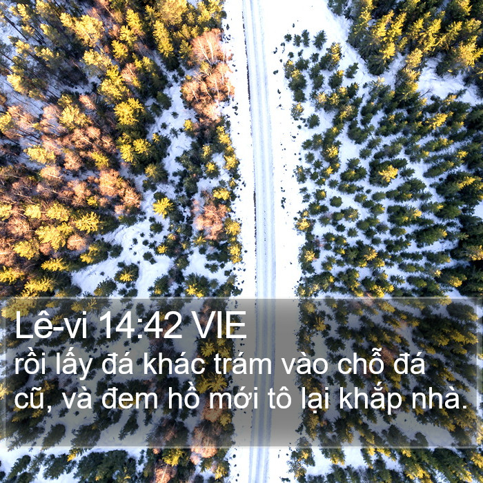 Lê-vi 14:42 VIE Bible Study