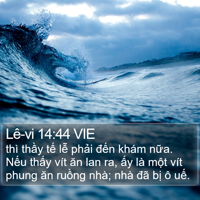 Lê-vi 14:44 VIE Bible Study