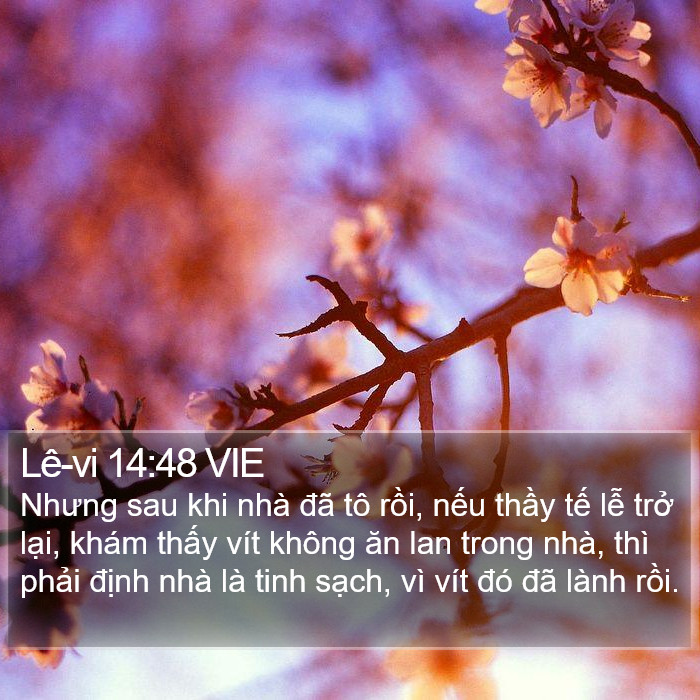 Lê-vi 14:48 VIE Bible Study