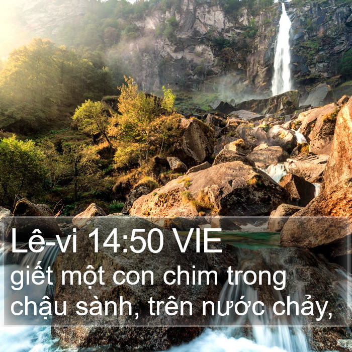 Lê-vi 14:50 VIE Bible Study