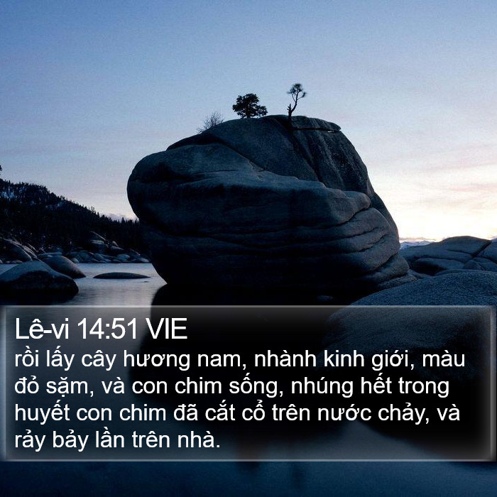 Lê-vi 14:51 VIE Bible Study