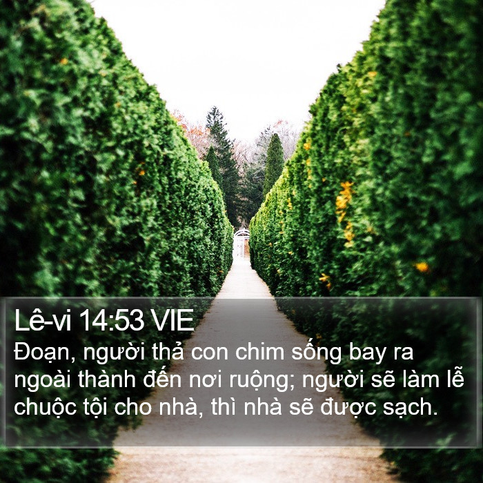 Lê-vi 14:53 VIE Bible Study