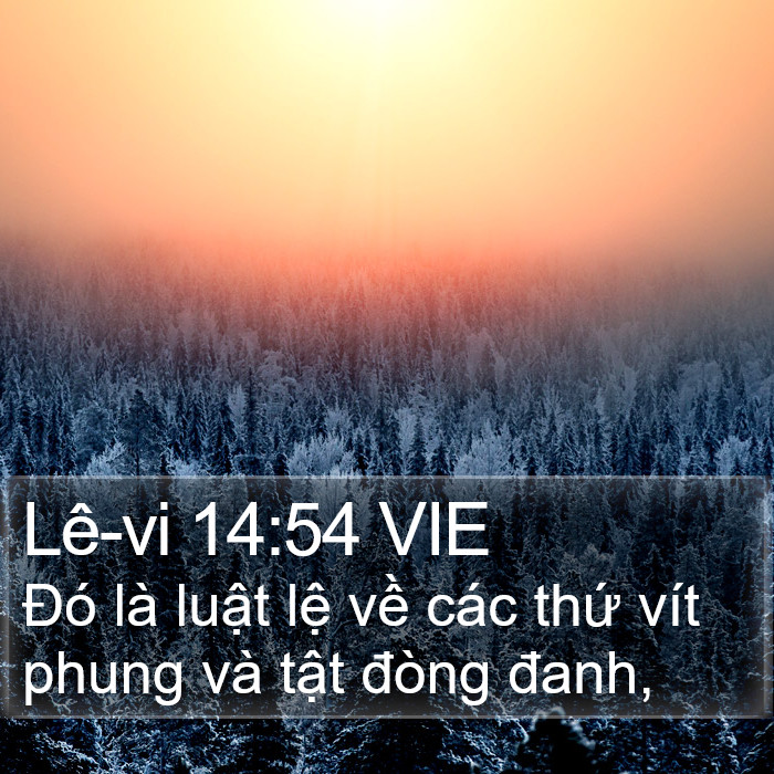 Lê-vi 14:54 VIE Bible Study