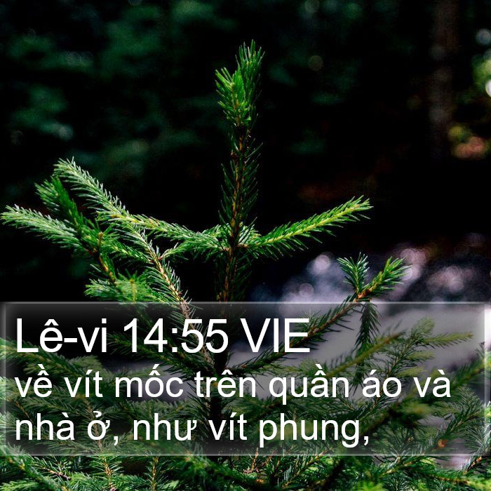 Lê-vi 14:55 VIE Bible Study