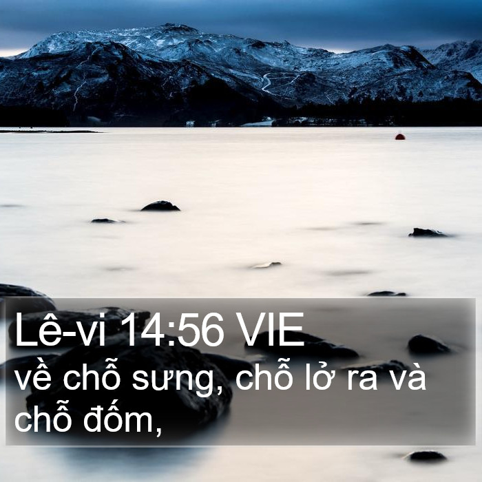 Lê-vi 14:56 VIE Bible Study