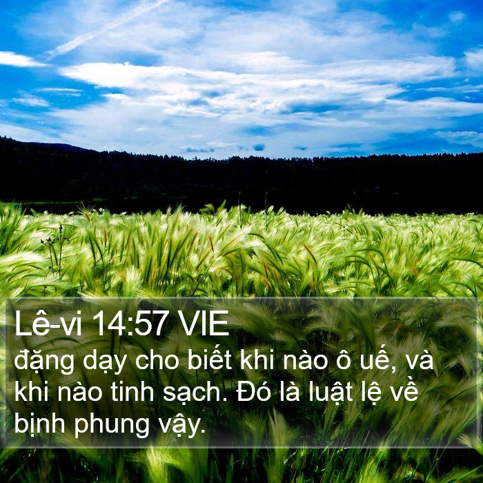 Lê-vi 14:57 VIE Bible Study