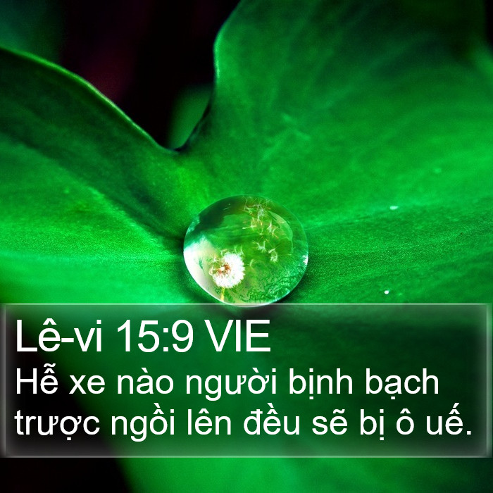Lê-vi 15:9 VIE Bible Study