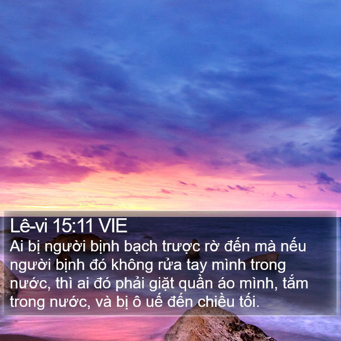 Lê-vi 15:11 VIE Bible Study