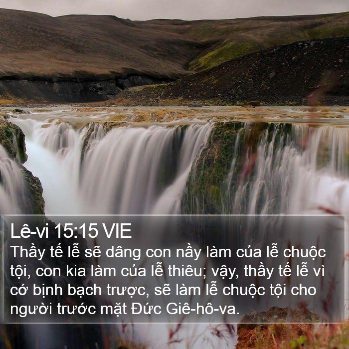Lê-vi 15:15 VIE Bible Study