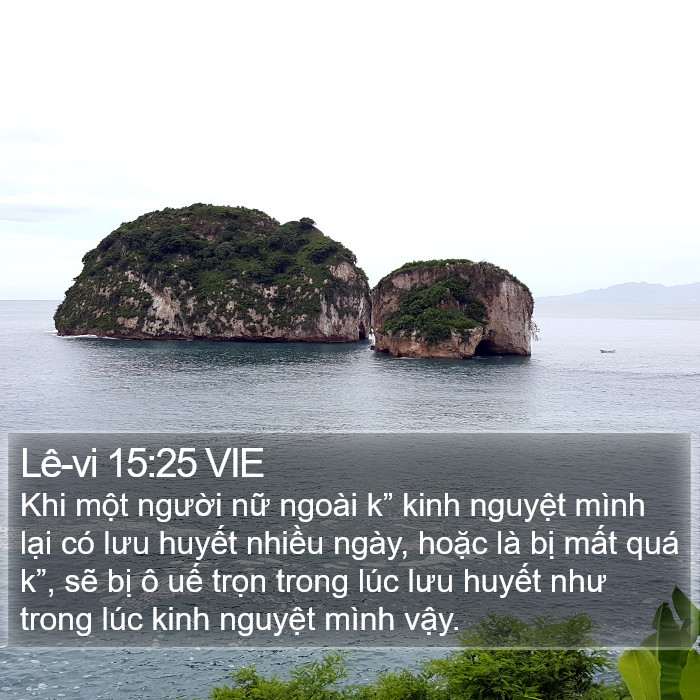 Lê-vi 15:25 VIE Bible Study