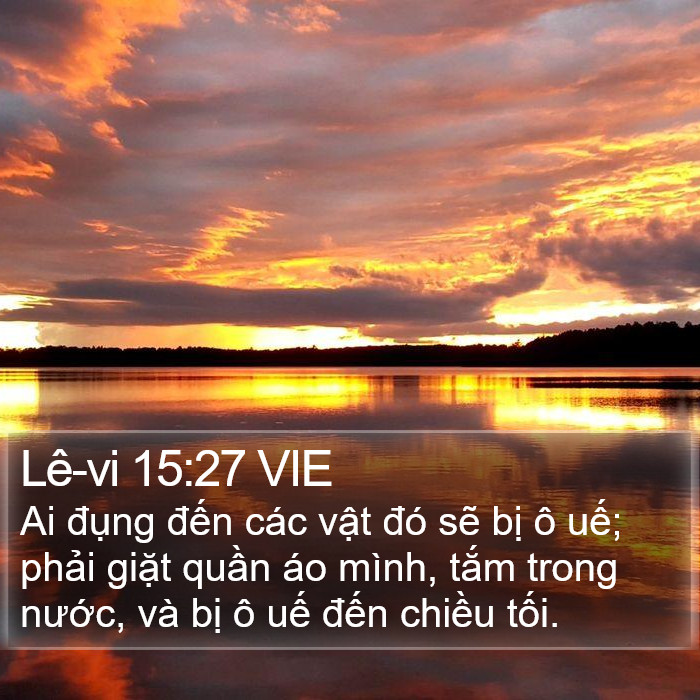 Lê-vi 15:27 VIE Bible Study