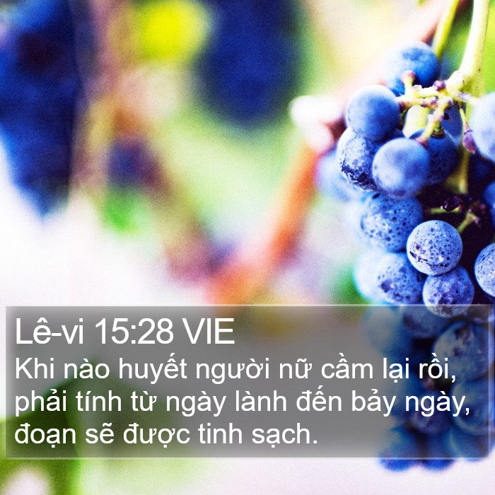 Lê-vi 15:28 VIE Bible Study