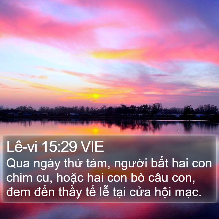 Lê-vi 15:29 VIE Bible Study