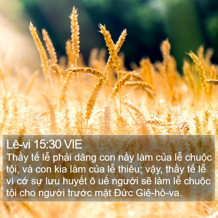 Lê-vi 15:30 VIE Bible Study