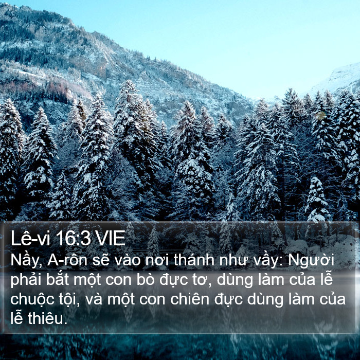 Lê-vi 16:3 VIE Bible Study