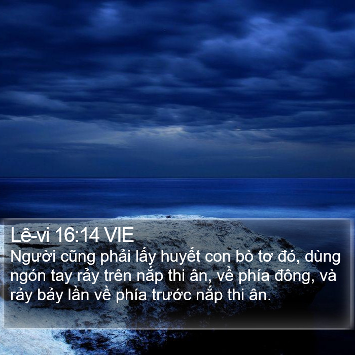 Lê-vi 16:14 VIE Bible Study