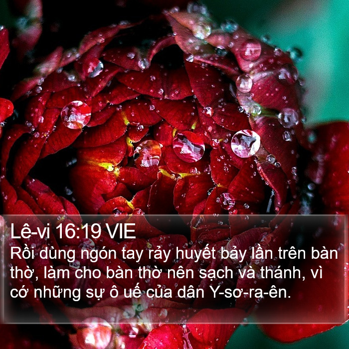 Lê-vi 16:19 VIE Bible Study