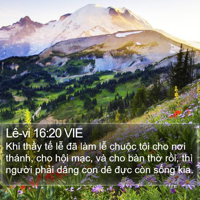 Lê-vi 16:20 VIE Bible Study