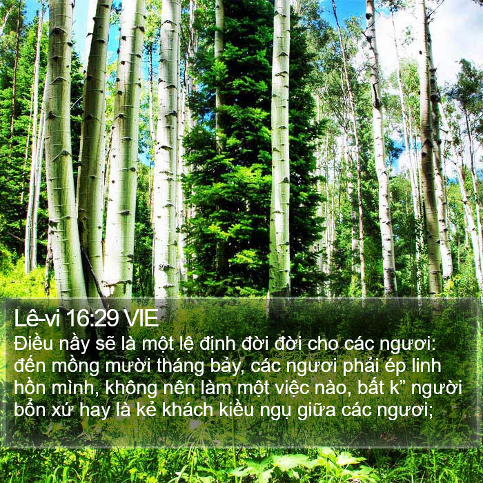 Lê-vi 16:29 VIE Bible Study