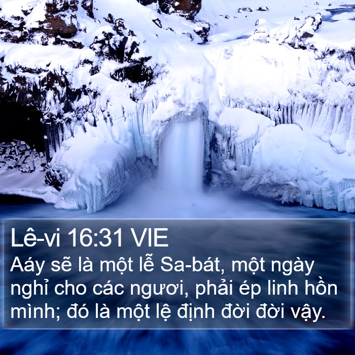 Lê-vi 16:31 VIE Bible Study