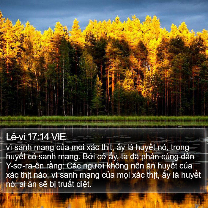 Lê-vi 17:14 VIE Bible Study