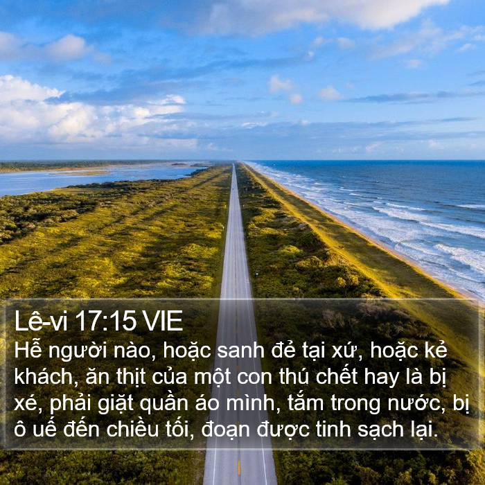 Lê-vi 17:15 VIE Bible Study