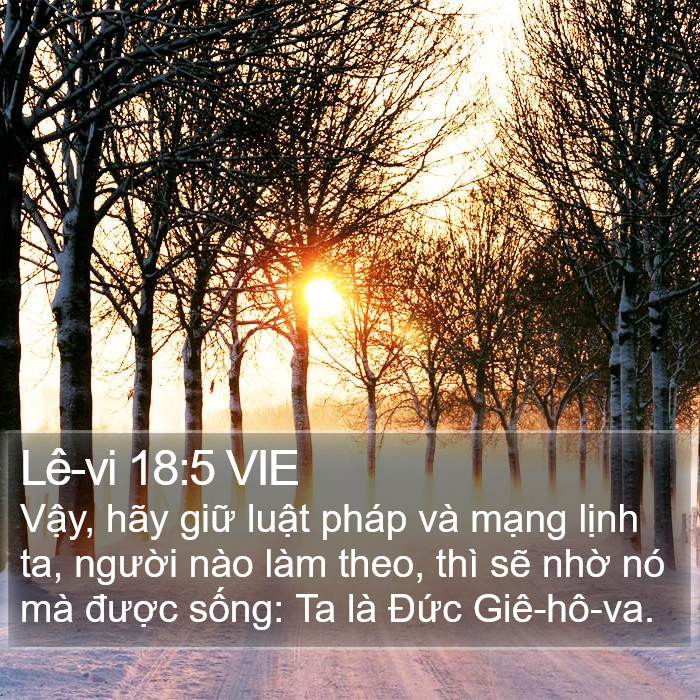 Lê-vi 18:5 VIE Bible Study