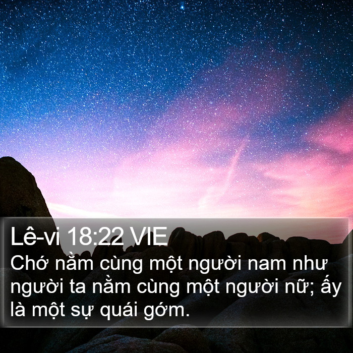 Lê-vi 18:22 VIE Bible Study