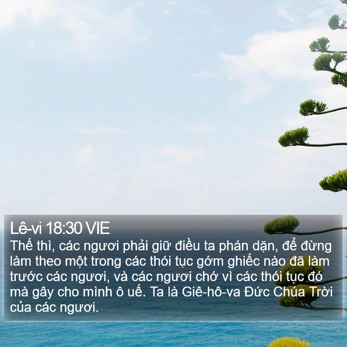 Lê-vi 18:30 VIE Bible Study