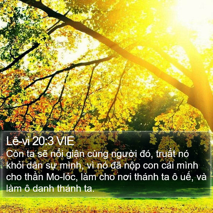 Lê-vi 20:3 VIE Bible Study