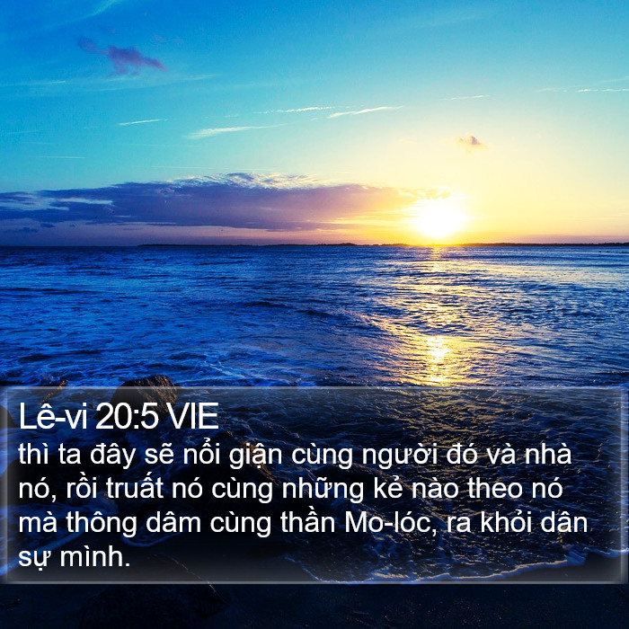 Lê-vi 20:5 VIE Bible Study