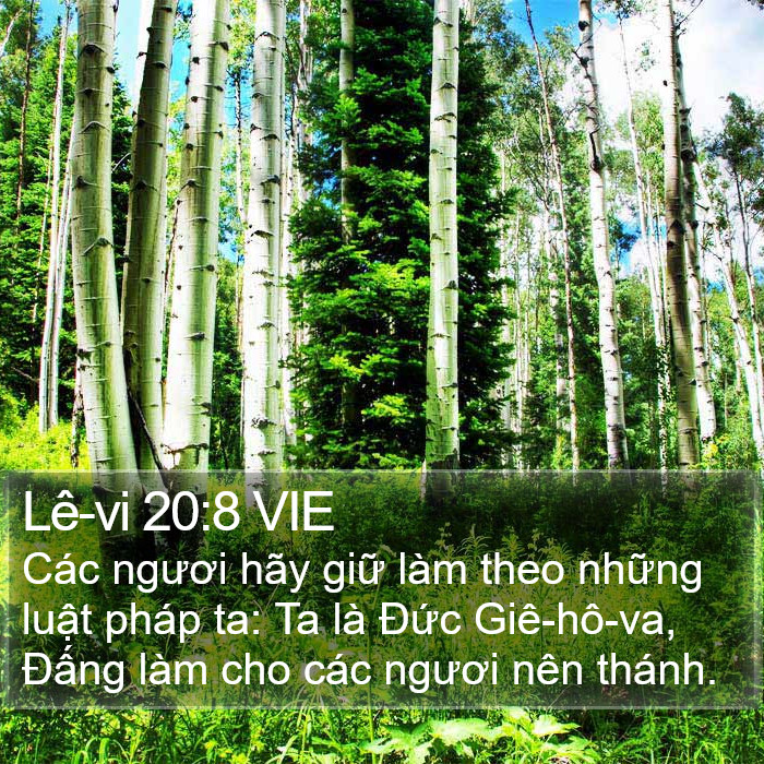 Lê-vi 20:8 VIE Bible Study