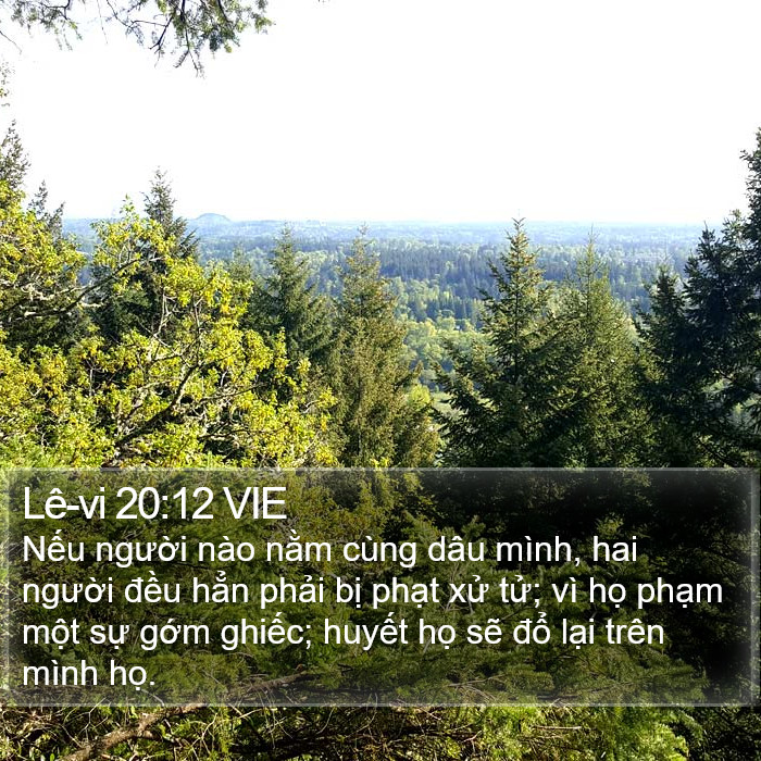 Lê-vi 20:12 VIE Bible Study