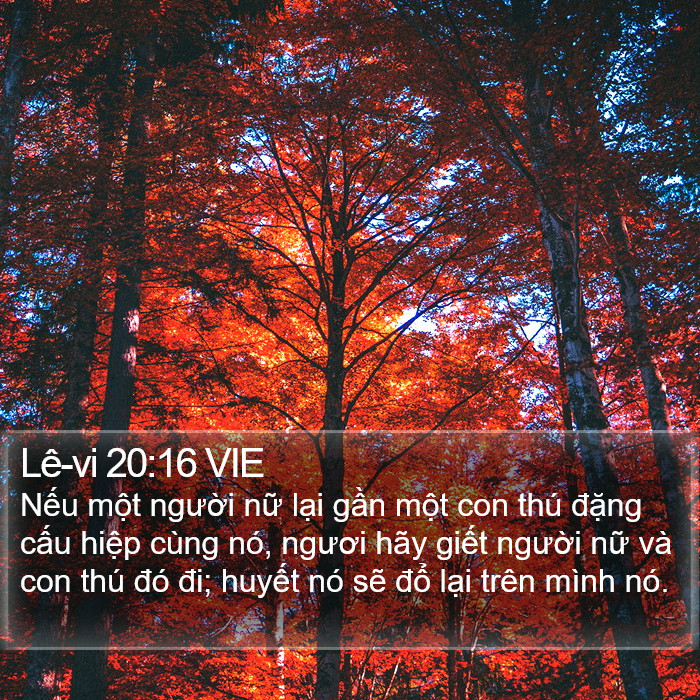 Lê-vi 20:16 VIE Bible Study