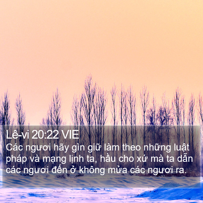 Lê-vi 20:22 VIE Bible Study