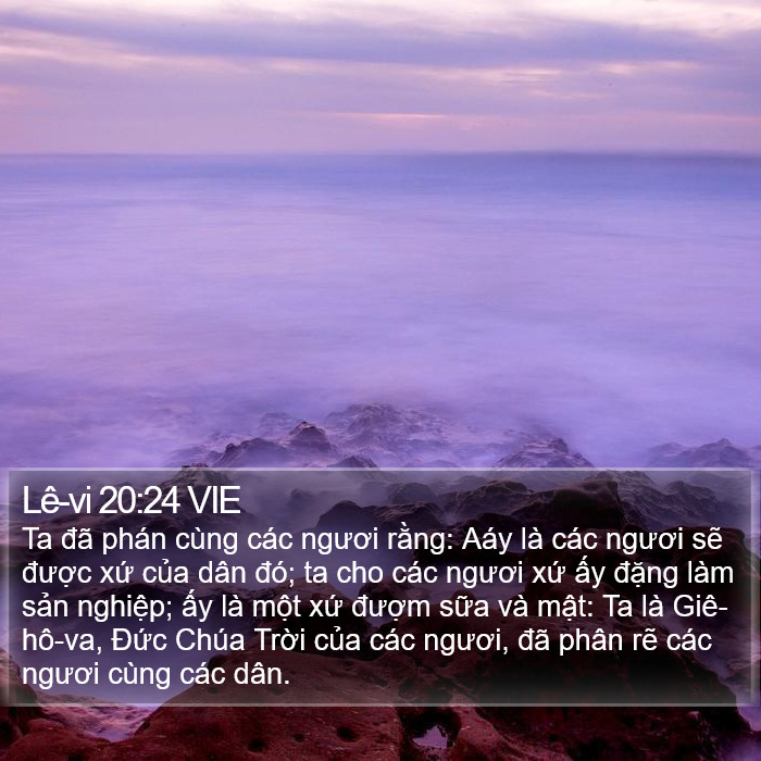 Lê-vi 20:24 VIE Bible Study