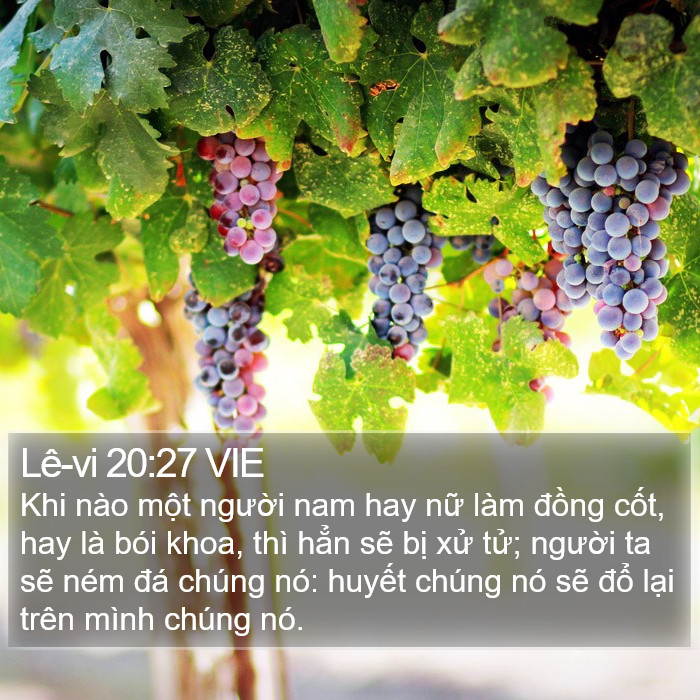 Lê-vi 20:27 VIE Bible Study