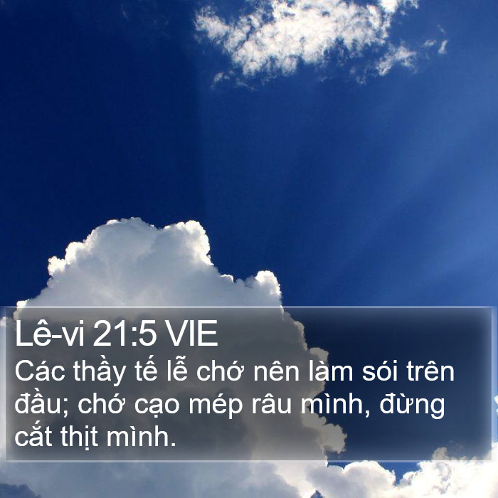Lê-vi 21:5 VIE Bible Study