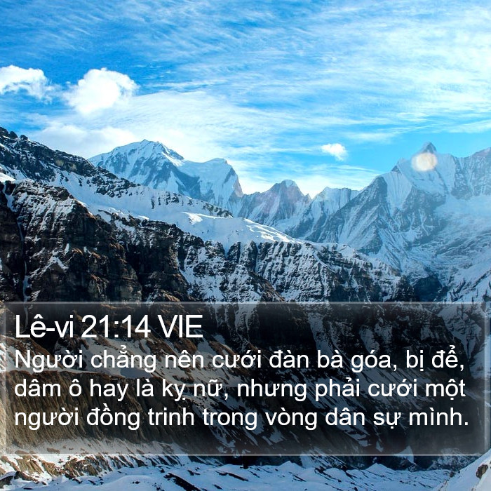 Lê-vi 21:14 VIE Bible Study
