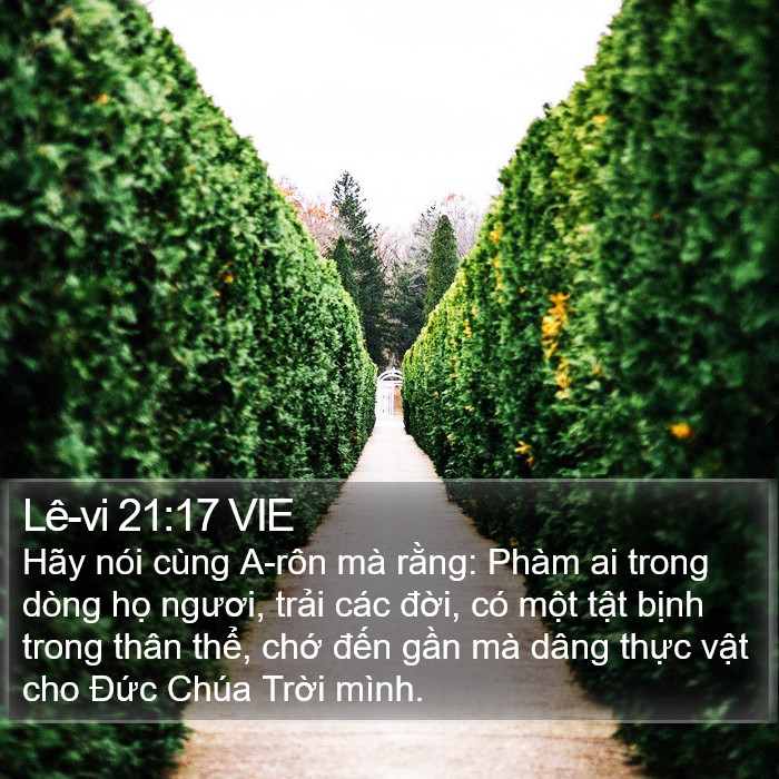 Lê-vi 21:17 VIE Bible Study