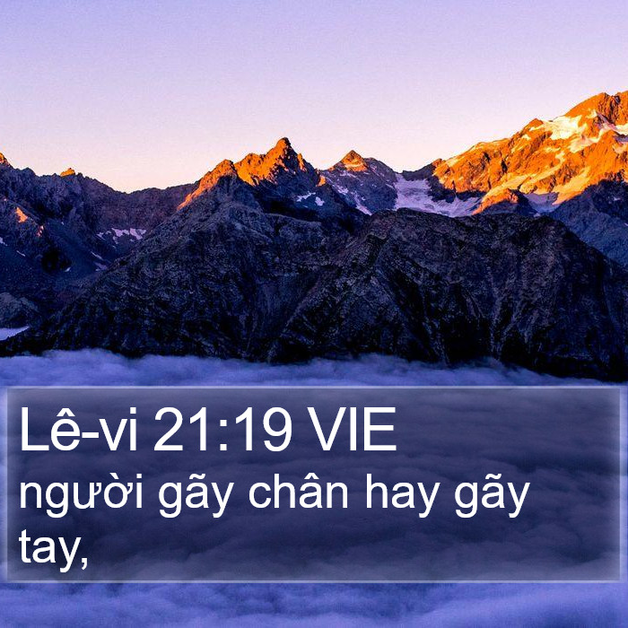Lê-vi 21:19 VIE Bible Study