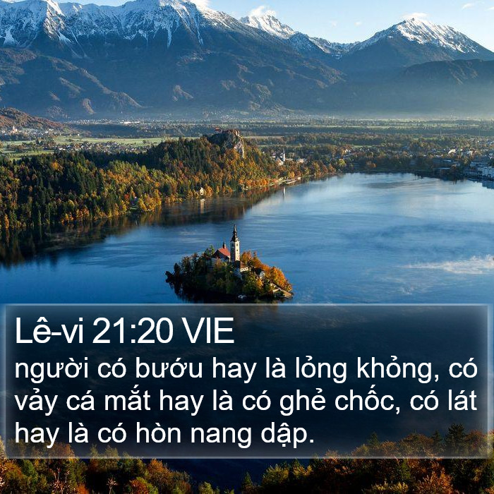 Lê-vi 21:20 VIE Bible Study
