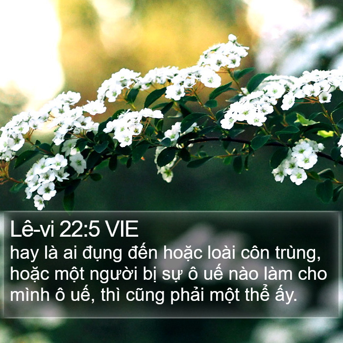 Lê-vi 22:5 VIE Bible Study