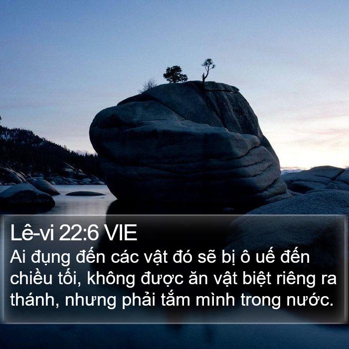 Lê-vi 22:6 VIE Bible Study